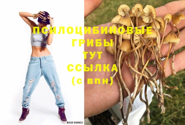 mdpv Навашино