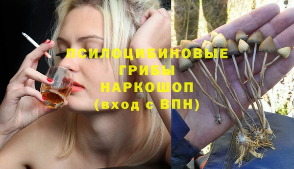 амф Надым