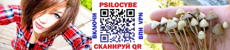 купить  сайты  Альметьевск  Псилоцибиновые грибы MAGIC MUSHROOMS 